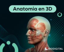Anatomia 3D